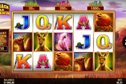 Outback Gold Hold and Win gameplay image