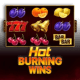 Hot Burning Wins game icon