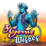 3 Genie Wishes