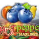 Hot Pepper Maxlines game icon