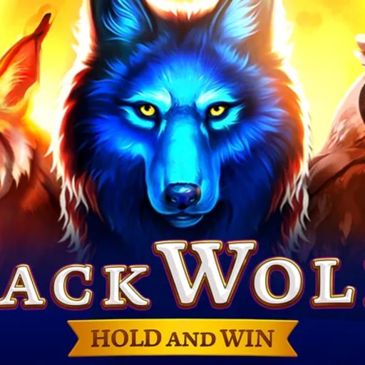 Black Wolf Hold and Win