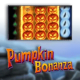 Pumpkin Bonanza game icon