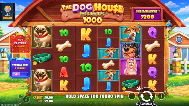 The Dog House Megaways 1000