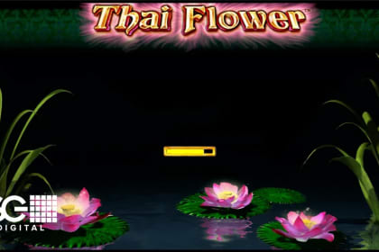 Thai Flower gameplay image