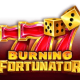Burning Fortunator game icon