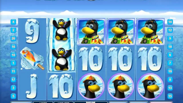 Penguin Vacation