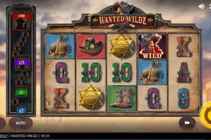 Wanted Wildz gameplay image
