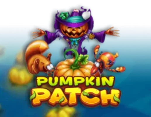 Pumpkin Patch