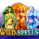 Wild Spells game icon