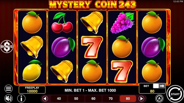 Mystery Coin 243