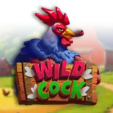Wild Cock