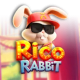 Rico Rabbit game icon