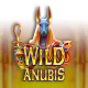 Wild Anubis game icon