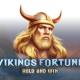 Vikings Fortune game icon