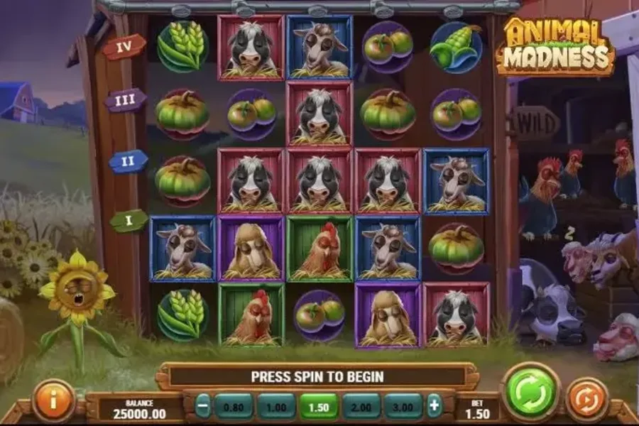 Animal Madness