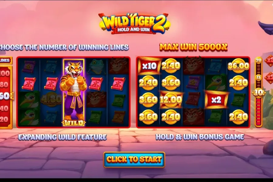 Wild Tiger 2