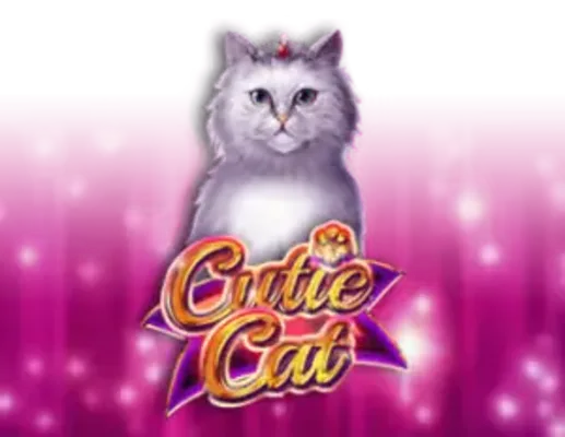 Cutie Cat
