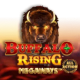Buffalo Rising Megaways All Action game icon