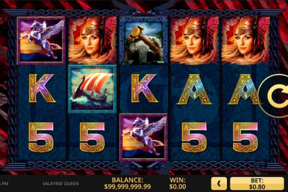Valkyrie Queen gameplay image