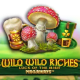 Wild Wild Riches Megaways game icon