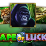 Ape of Luck