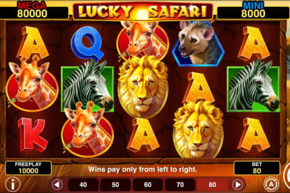 Lucky Safari Hold And Win gameplay image