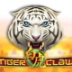 Tiger Claw game icon