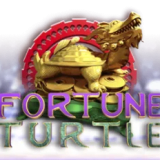 Fortune Turtle
