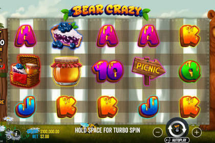 Bear Crazy gameplay image