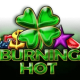 Burning Hot game icon