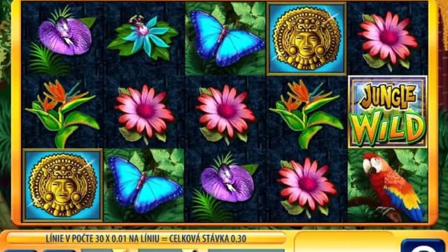 Jungle Wild