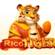 Rico Tiger game icon