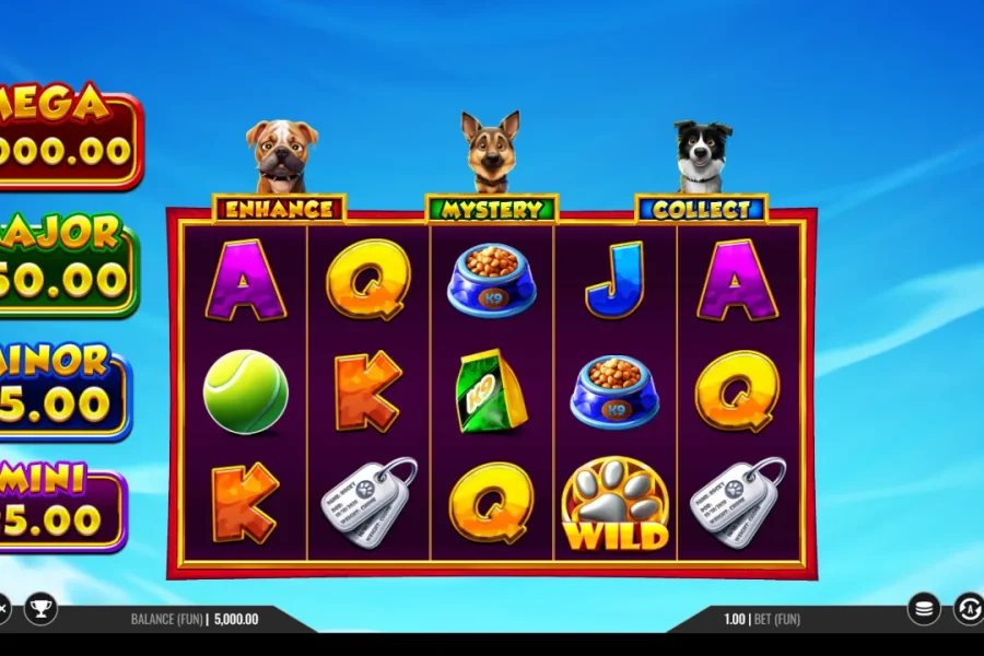 3 Top Dogs
