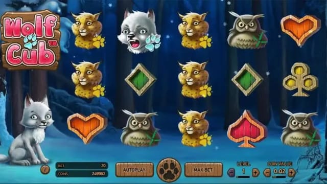 Wolf Cub