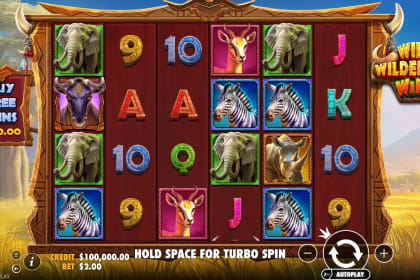 Wild Wildebeest Wins gameplay image