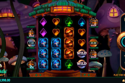Fire Gnomes gameplay image