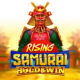Rising Samurai game icon
