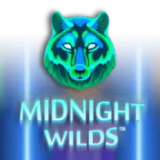 Midnight Wilds