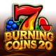 Burning Coins 20 game icon