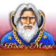 Book of Magic game icon