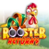 Rooster Returns
