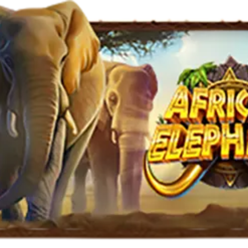 African Elephant