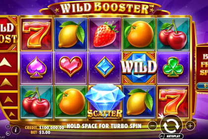 Wild Booster gameplay image