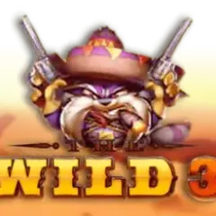 The Wild 3 game icon
