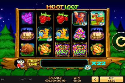Hoot Loot gameplay image