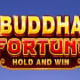 Buddha Fortune Hold and Win game icon