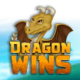 Dragon Wins 95 game icon