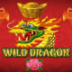 Wild Dragon game icon