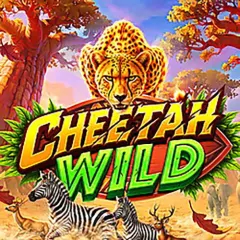 Cheetah Wild game icon