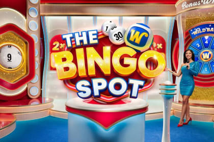 Bingo Spot gameplay image